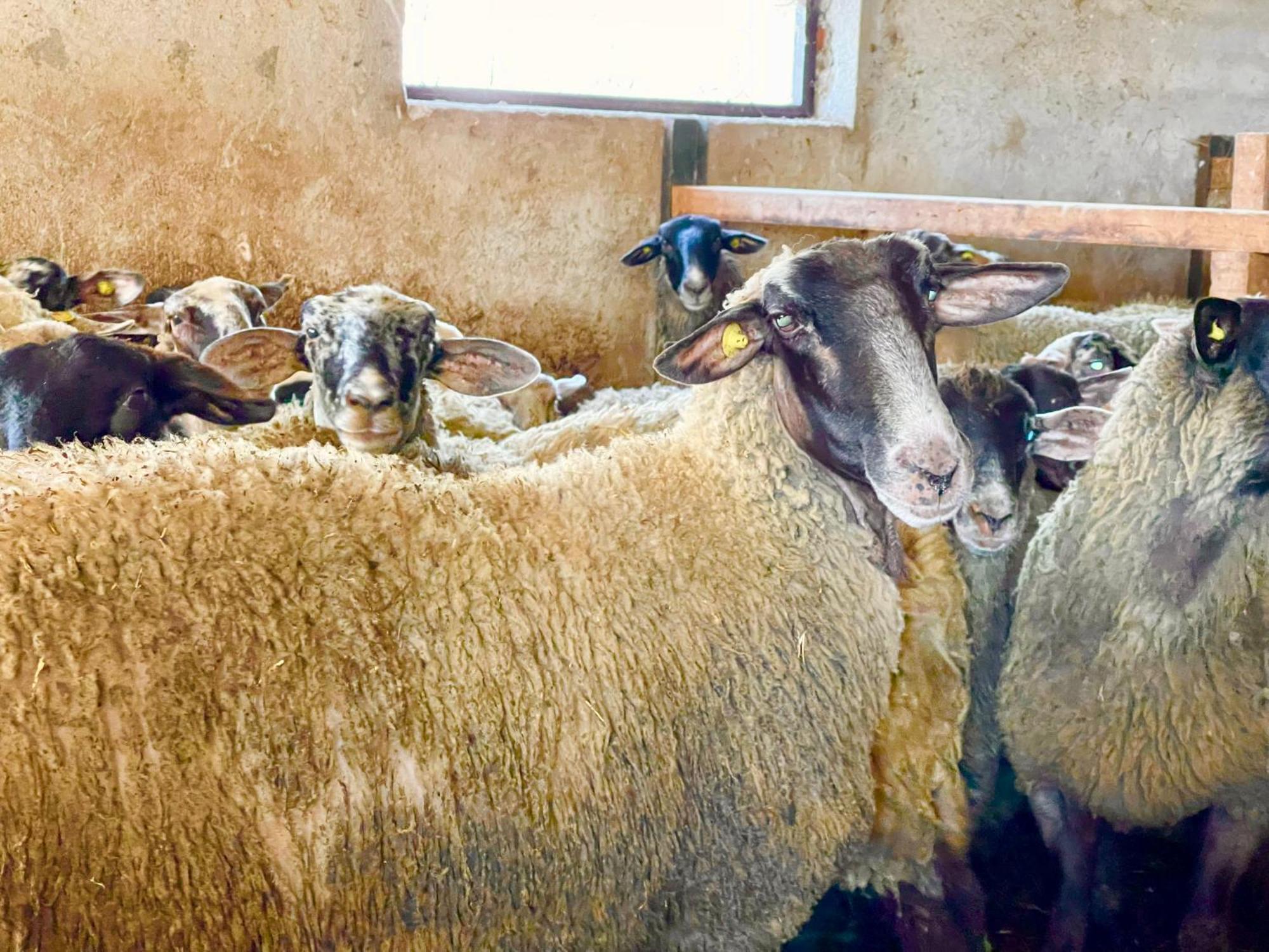 Casale Rotoloni Villa Protte Luaran gambar