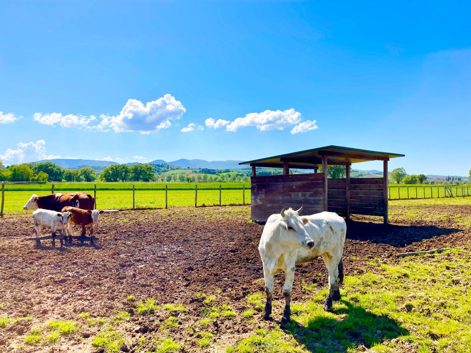 Casale Rotoloni Villa Protte Luaran gambar